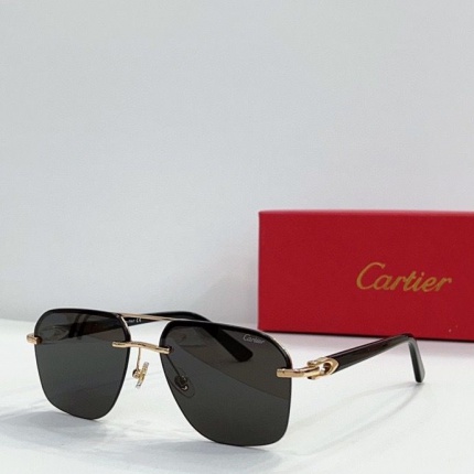 Cartier Glasses in 161897