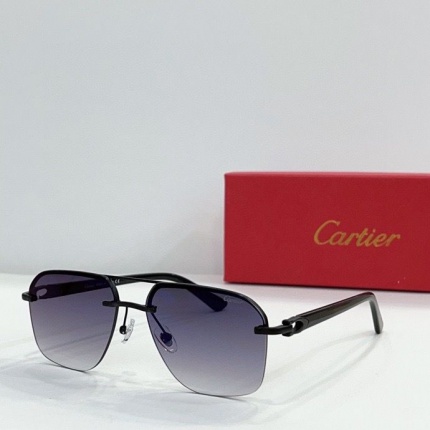 Cartier Glasses in 161898
