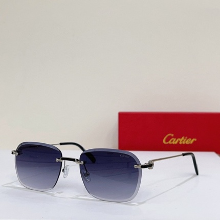 Cartier Glasses in 161910