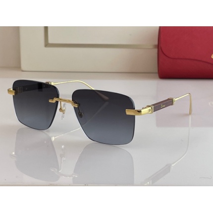 Cartier Glasses in 161919