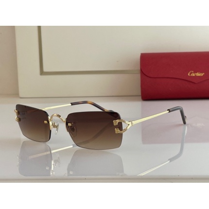 Cartier Glasses in 161954