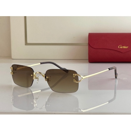 Cartier Glasses in 161955