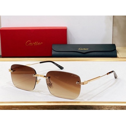 Cartier Glasses in 161966