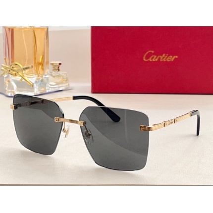 Cartier Glasses in 161970