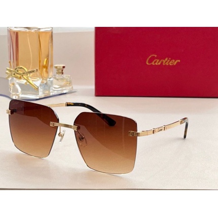 Cartier Glasses in 161971