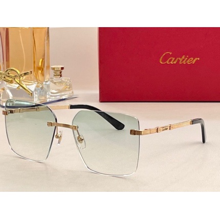 Cartier Glasses in 161973