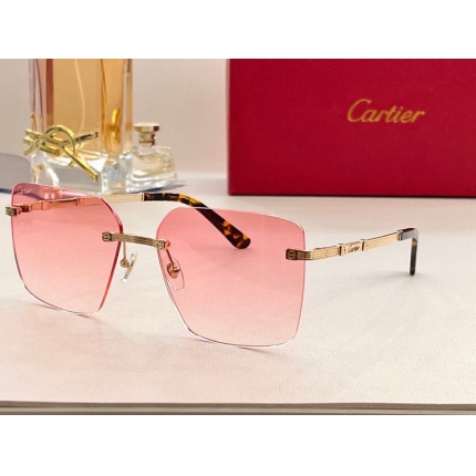 Cartier Glasses in 161974