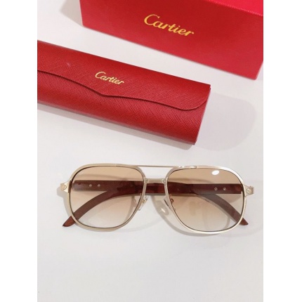 Cartier Glasses in 161979