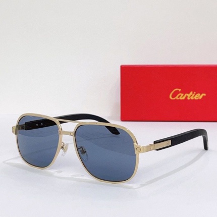 Cartier Glasses in 161981