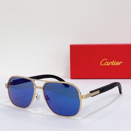 Cartier Glasses in 161985