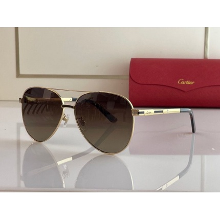 Cartier Glasses in 162005