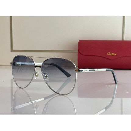 Cartier Glasses in 162006