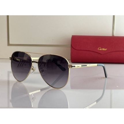 Cartier Glasses in 162007