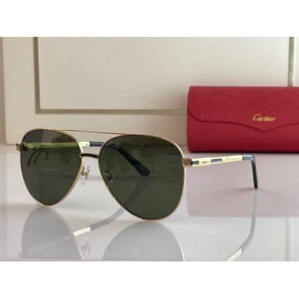 Cartier Glasses in 162008