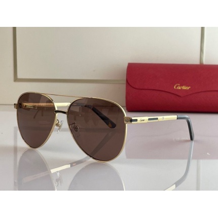 Cartier Glasses in 162009