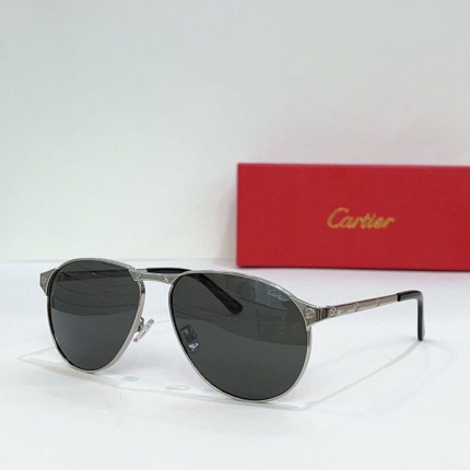 Cartier Glasses in 162011