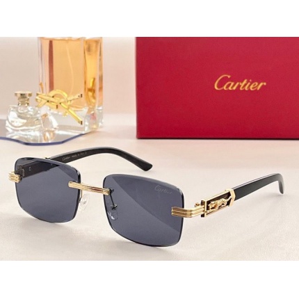 Cartier Glasses in 162040