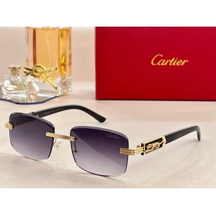 Cartier Glasses in 162041