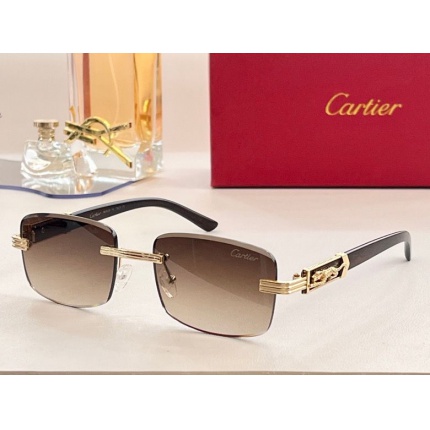 Cartier Glasses in 162046