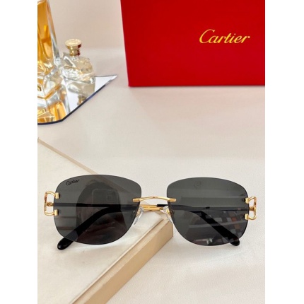 Cartier Glasses in 162048
