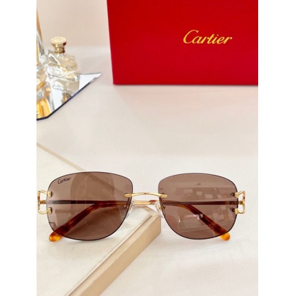 Cartier Glasses in 162050