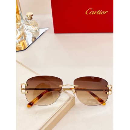 Cartier Glasses in 162051