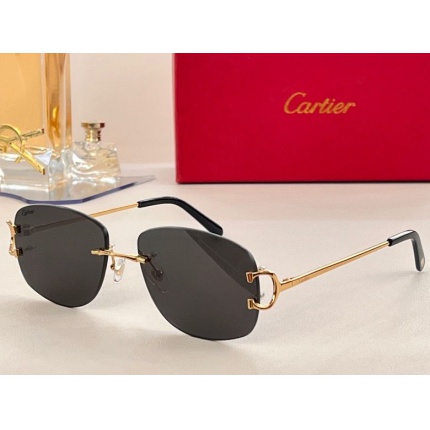 Cartier Glasses in 162053