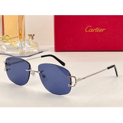 Cartier Glasses in 162054