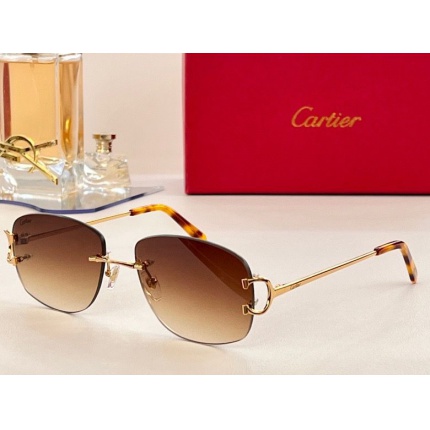 Cartier Glasses in 162055