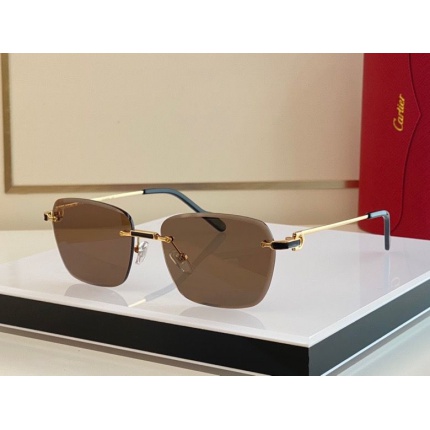 Cartier Glasses in 162120