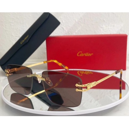 Cartier Glasses in 162141