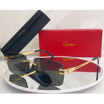 Cartier Glasses in 162142