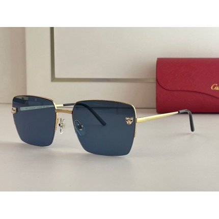 Cartier Glasses in 162156