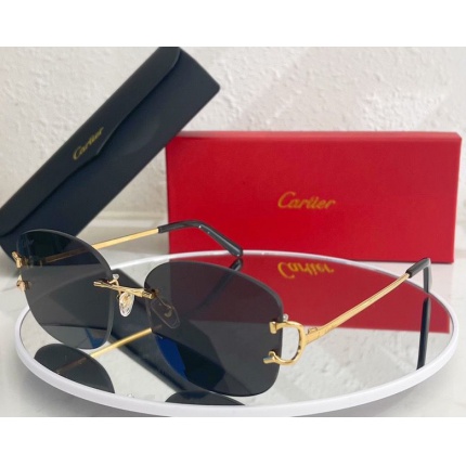 Cartier Glasses in 162167