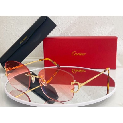 Cartier Glasses in 162168