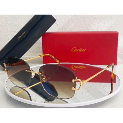 Cartier Glasses in 162169