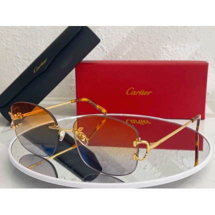 Cartier Glasses in 162172