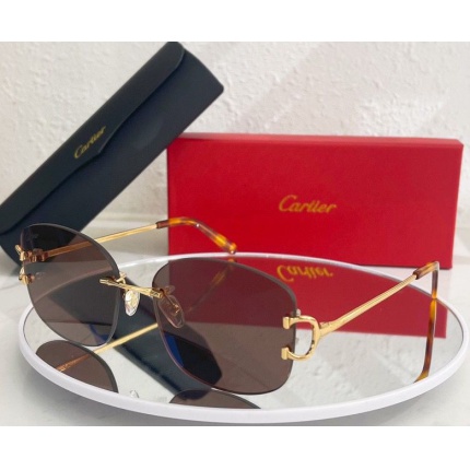 Cartier Glasses in 162173