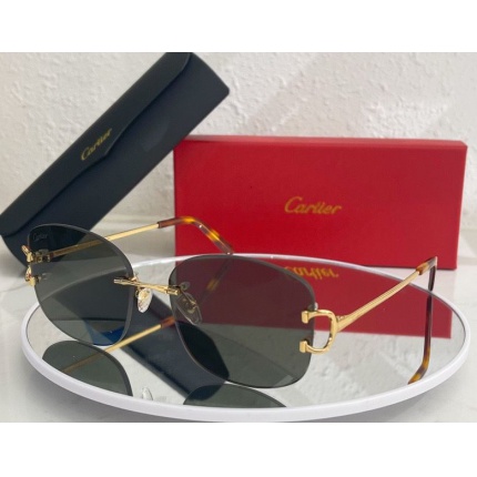 Cartier Glasses in 162174