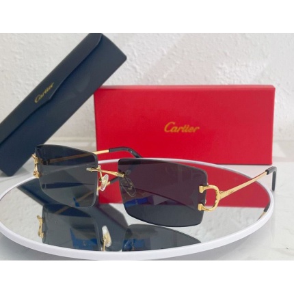 Cartier Glasses in 162176