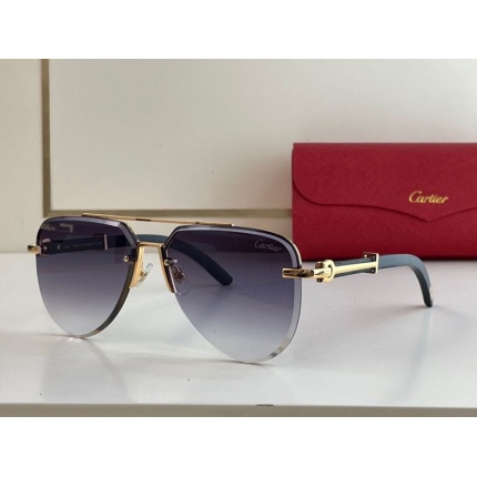 Cartier Glasses in 162316