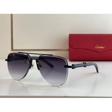 Cartier Glasses in 162320