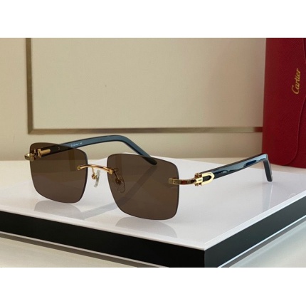 Cartier Glasses in 162330