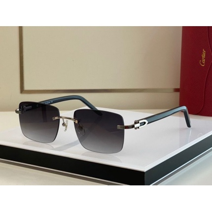 Cartier Glasses in 162331