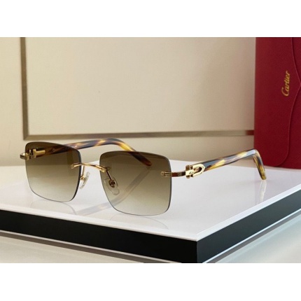 Cartier Glasses in 162334