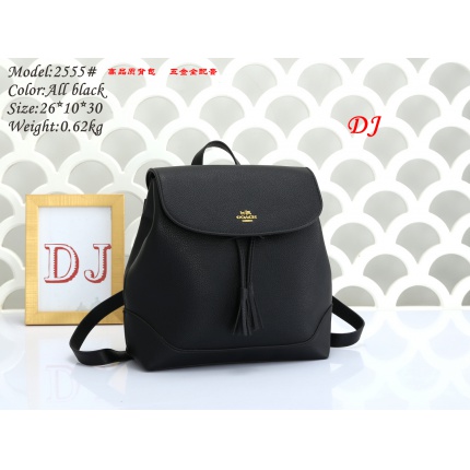 Coach Backpack in 168116