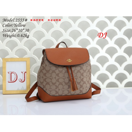 Coach Backpack in 168119