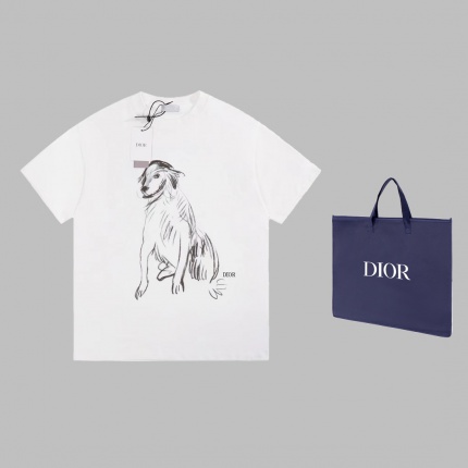 Dior T-shirts for Men in 168337