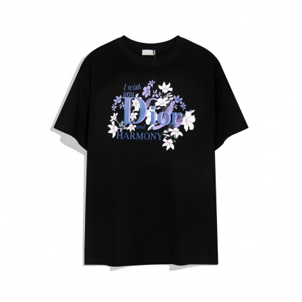 Dior T-shirts for Men in 169075