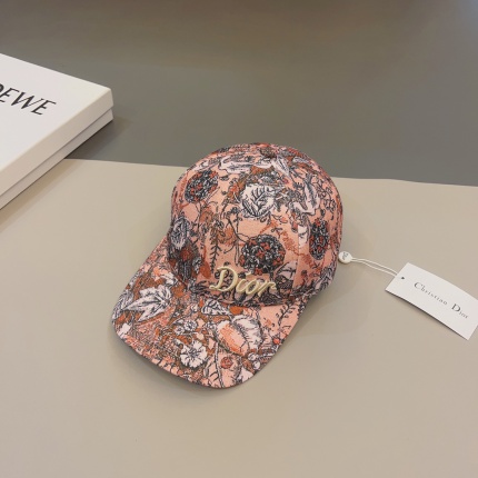 Dior Hats in 170199